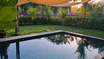 A swimming pool with a clear water surface, surrounded by a wooden deck and a grassy area with palm trees.