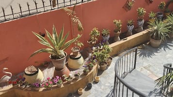 Terrasse/gårdhave