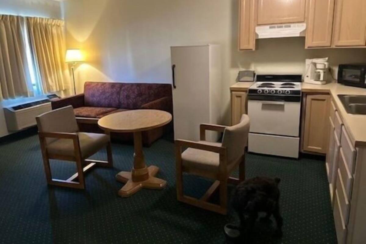A compact hotel room with a kitchenette, a sofa, a small dining table, and a dog.