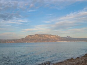 Ranta