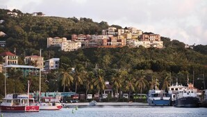 A coastal town with a hillside of buildings, a marina with boats, and palm trees. - View Come True Villa, Panoramic Views from a Wraparound Balcony in St. John (St. John)