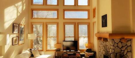 Smart TV, fireplace, DVD player, books