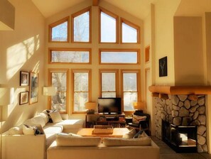 Una Smart TV, una chimenea, un reproductor de DVD, libros