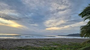 Beach - BeachFront Apartment, 45 meter from sea,
sorounded by wild nature,
eco friendly
(Puerto Viejo de Talamanca)