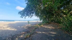 Beach - BeachFront Apartment, 45 meter from sea,
sorounded by wild nature,
eco friendly
(Puerto Viejo de Talamanca)