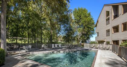 Lakefront dog-friendly condo with lake views, pool, BBQ area, balcony, elevators