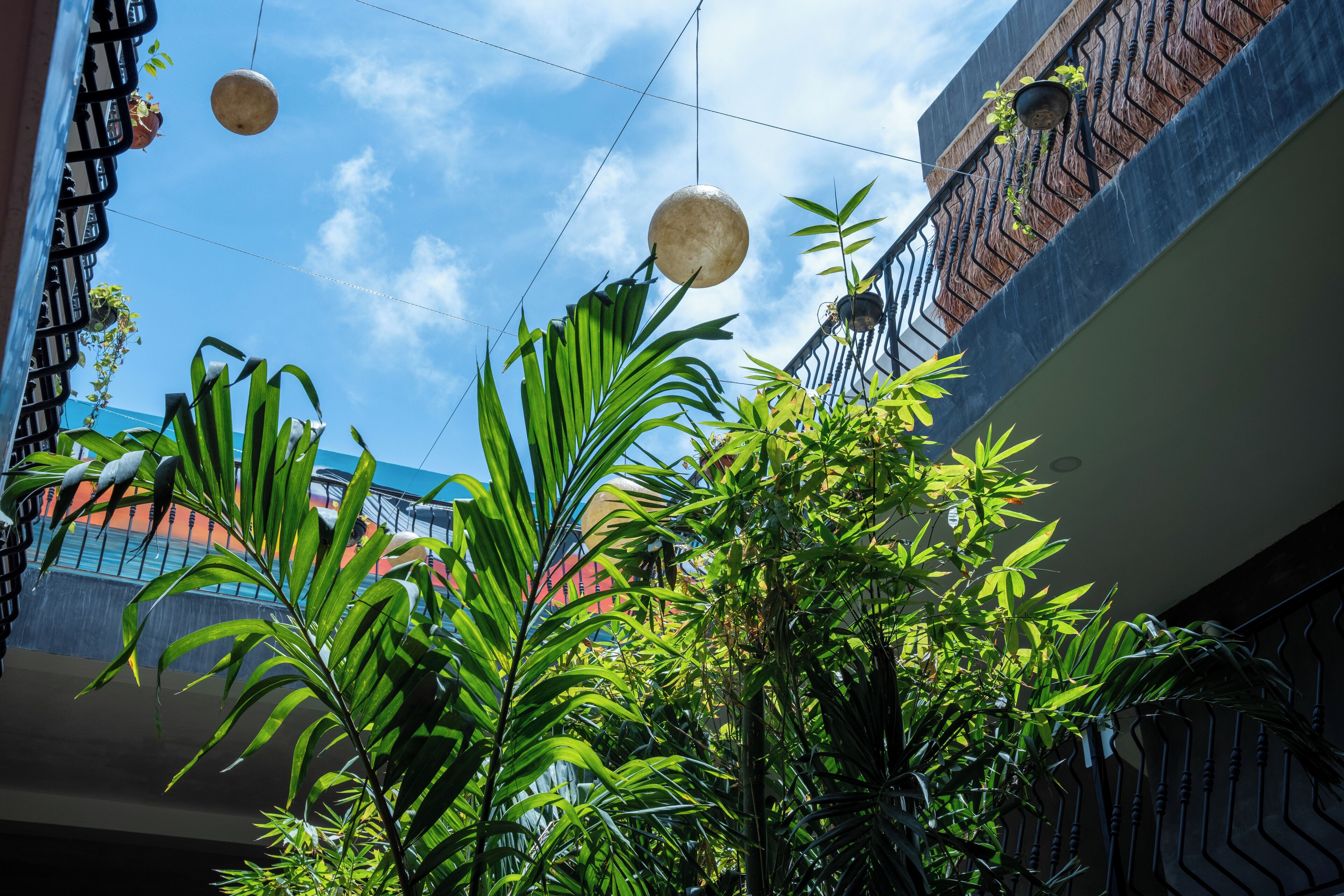 A view of a balcony with hanging spherical lights, lush green plants, and a clear blue sky.