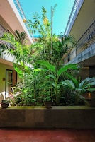 Un patio con abundante vegetación, incluyendo plantas de hojas grandes y diversas especies de árboles.