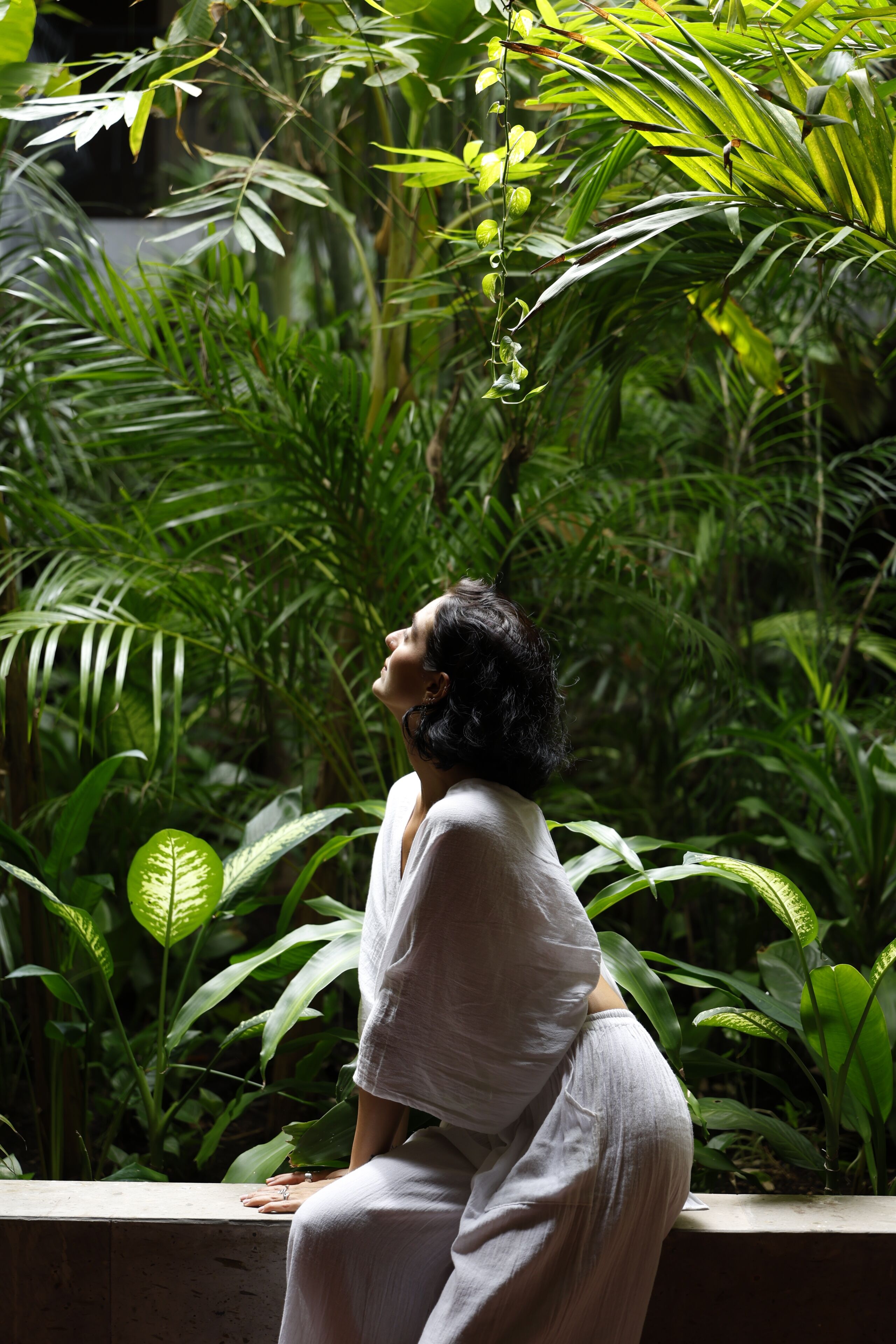 Jardín