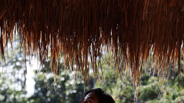 A person standing on a balcony with a thatched roof, overlooking a lush green forest. - Calea Tulum Boutique Hotel (Tulum)