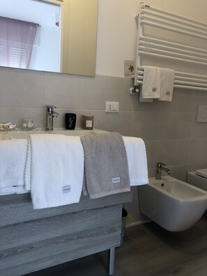 Douche, séchoir à cheveux, bidet, serviettes fournies