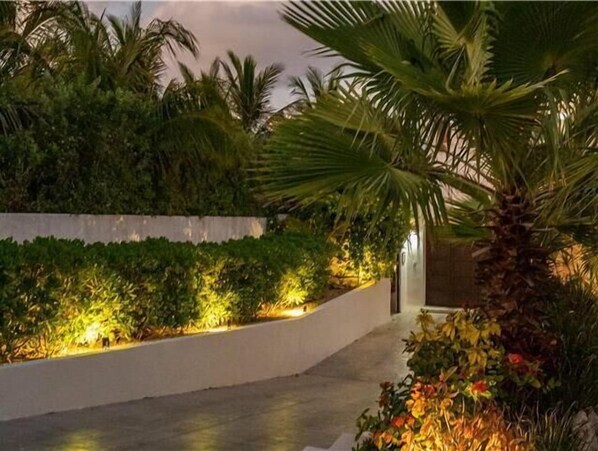 A landscaped pathway with a white wall and palm trees.