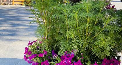 Maison de vacances 'Le Cré Appartamento 4' avec vue sur la montagne, jardin partagé et Wi-Fi