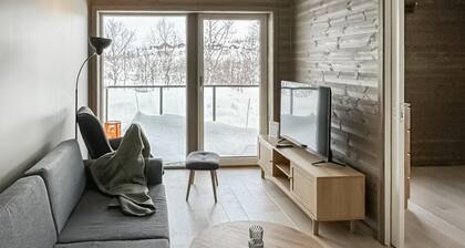 2 bedroom nice apartment in Geilo