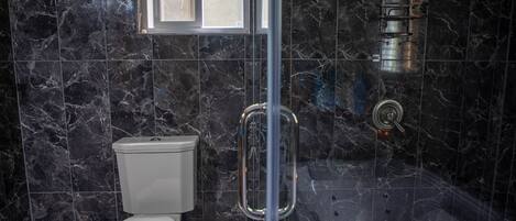 Une salle de bain comprenant des toilettes, une douche et un espace douche séparé par des parois en verre.