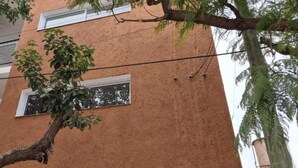 A building with a textured exterior, multiple windows, and a tree in the foreground.