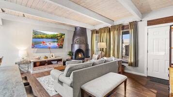 Smart TV, fireplace, books