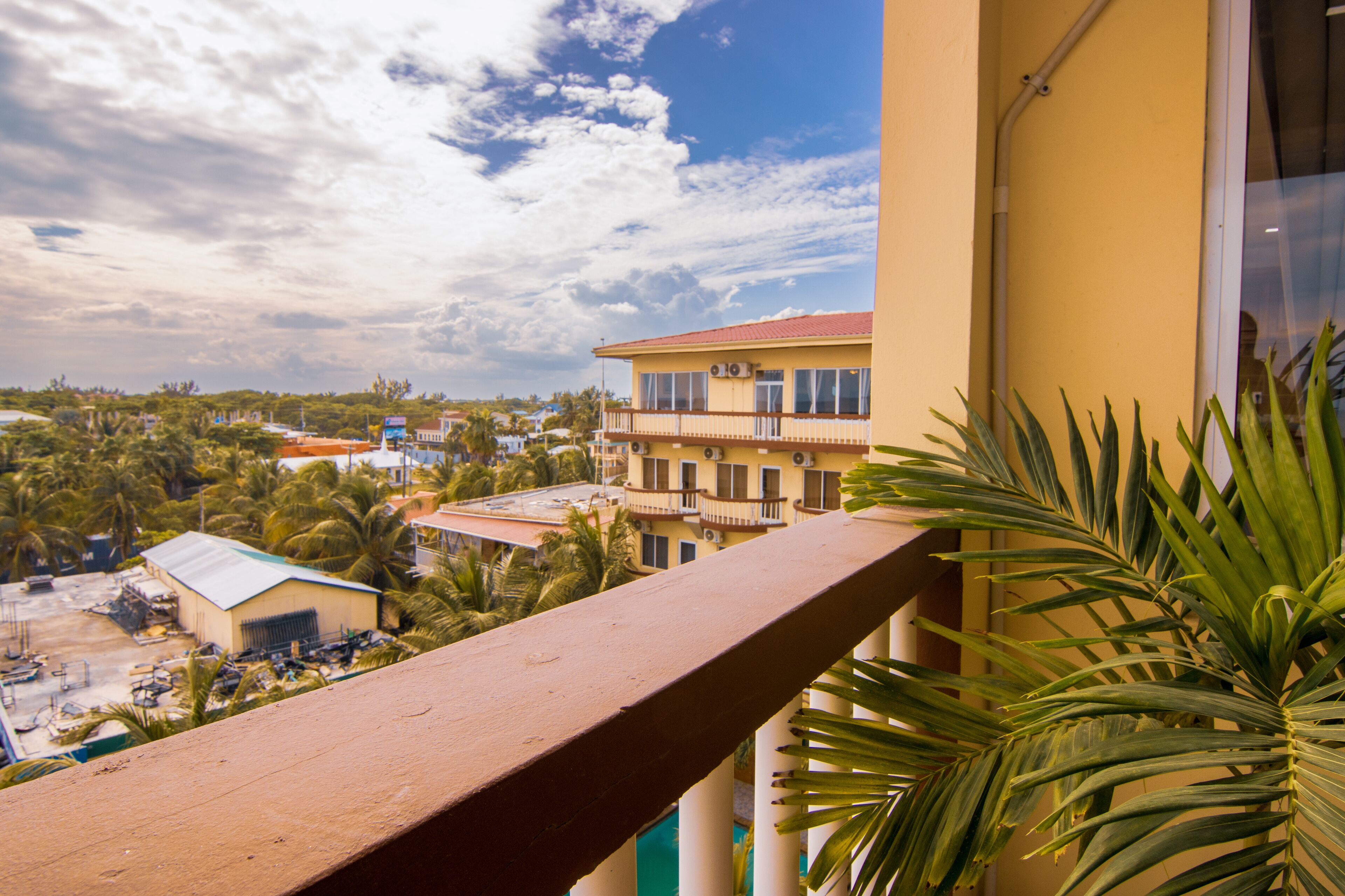 A balcony with a view of a residential area, including houses and palm trees.