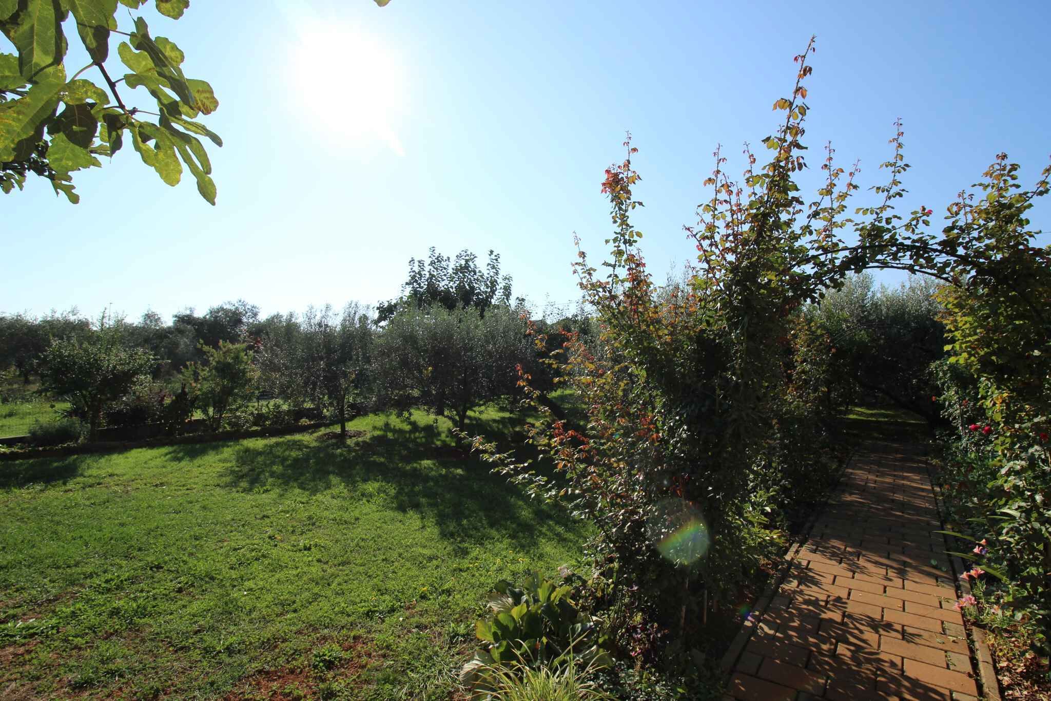 Un sendero en un jardín, con superficie de ladrillo, rodeado de abundante vegetación y plantas en flor.