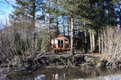 New creekside yurt with mountain views next to a Salmon run creek!