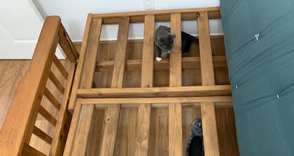 Sondol Beach house 5 minute walk to the beach. Great for any water activities.