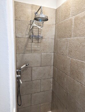 Shower, hair dryer, bidet, towels