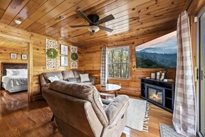 Smart TV, chimenea, videojuegos, reproductor de DVD