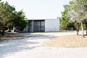 Exterior - The Gravel Road Ranch - 4bd2ba - Liberty Hill - 5 Acres - King Suite -Sleeps 9+ (Liberty Hill)