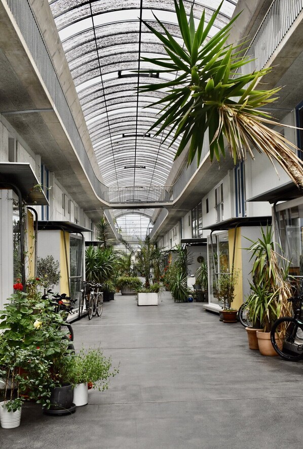 Terrein van de accommodatie