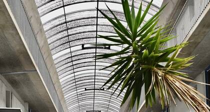 Sonnige Wohnung Graz |3 SZ|6Pers|Gratis Parken| Haustierfreundlich