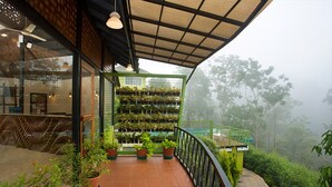 Un balcon avec des carreaux de terre cuite, des plantes en pot et une rambarde en métal vert.