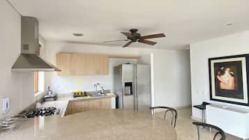 Fridge, oven, stovetop