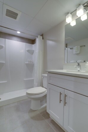 Shower, hair dryer, towels, toilet paper