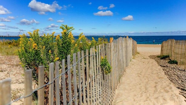 A sandy beach path with a wooden fence and yellow flowers. - Sojourn on Lea View | Willoughby Spit | 5 BR *NEW* (Norfolk)