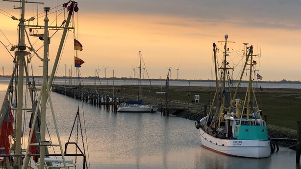 A marina with boats docked, a pier extending into the water, and wind turbines in the background. - Hygge Frisian House by the Sea with Private Garden and Terrace (Nordstrand)
