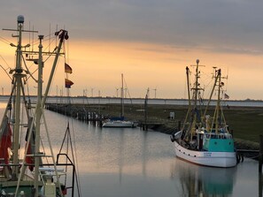 Un port de plaisance avec des bateaux amarrés, une jetée s’avançant dans l’eau et, au loin, des éoliennes.