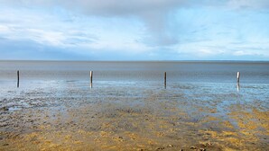 A beach with a calm sea, overcast sky, and three poles in the water.