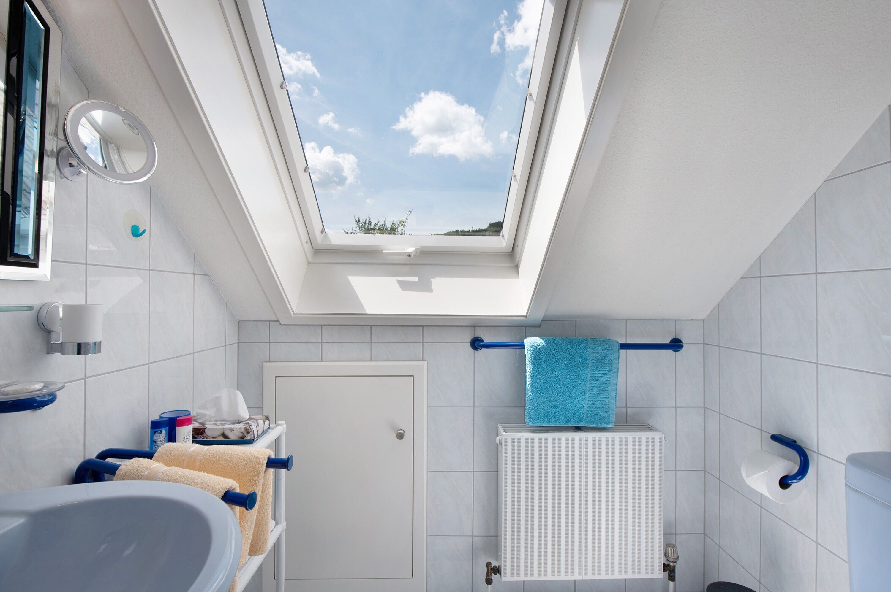 Een badkamer met dakraam, een bad, toilet en douche.