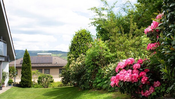 Une pelouse bien entretenue, une variété d’arbustes et un bâtiment avec un toit en pente en arrière-plan.