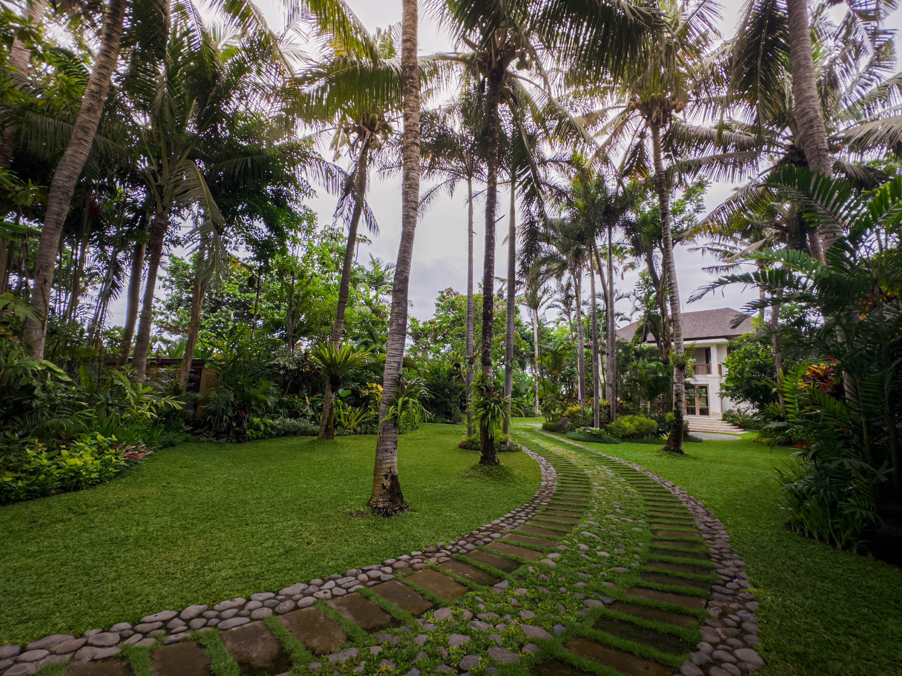A lush garden with a stone pathway leading to a building.