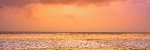 Beach - Ginger Somnath (Veraval)