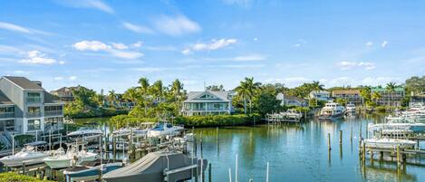 A marina with boats docked, surrounded by residential buildings and palm trees.