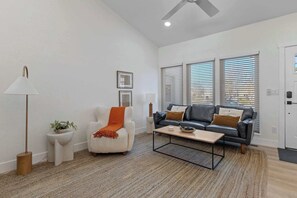 TV, fireplace, video games, DVD player