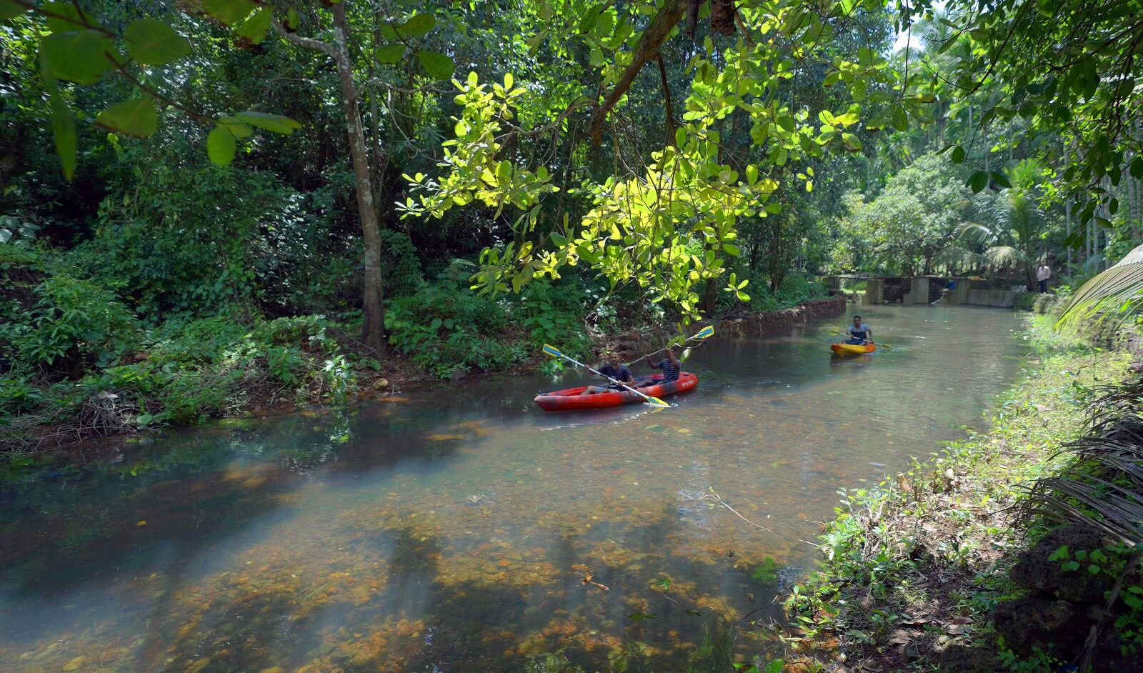 A river with kayaks, surrounded by dense greenery and trees.