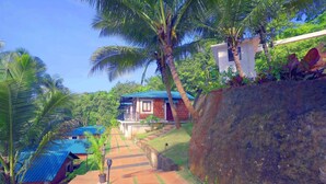Un camino que lleva a una casa con techo azul, rodeada de vegetación exuberante y palmeras.