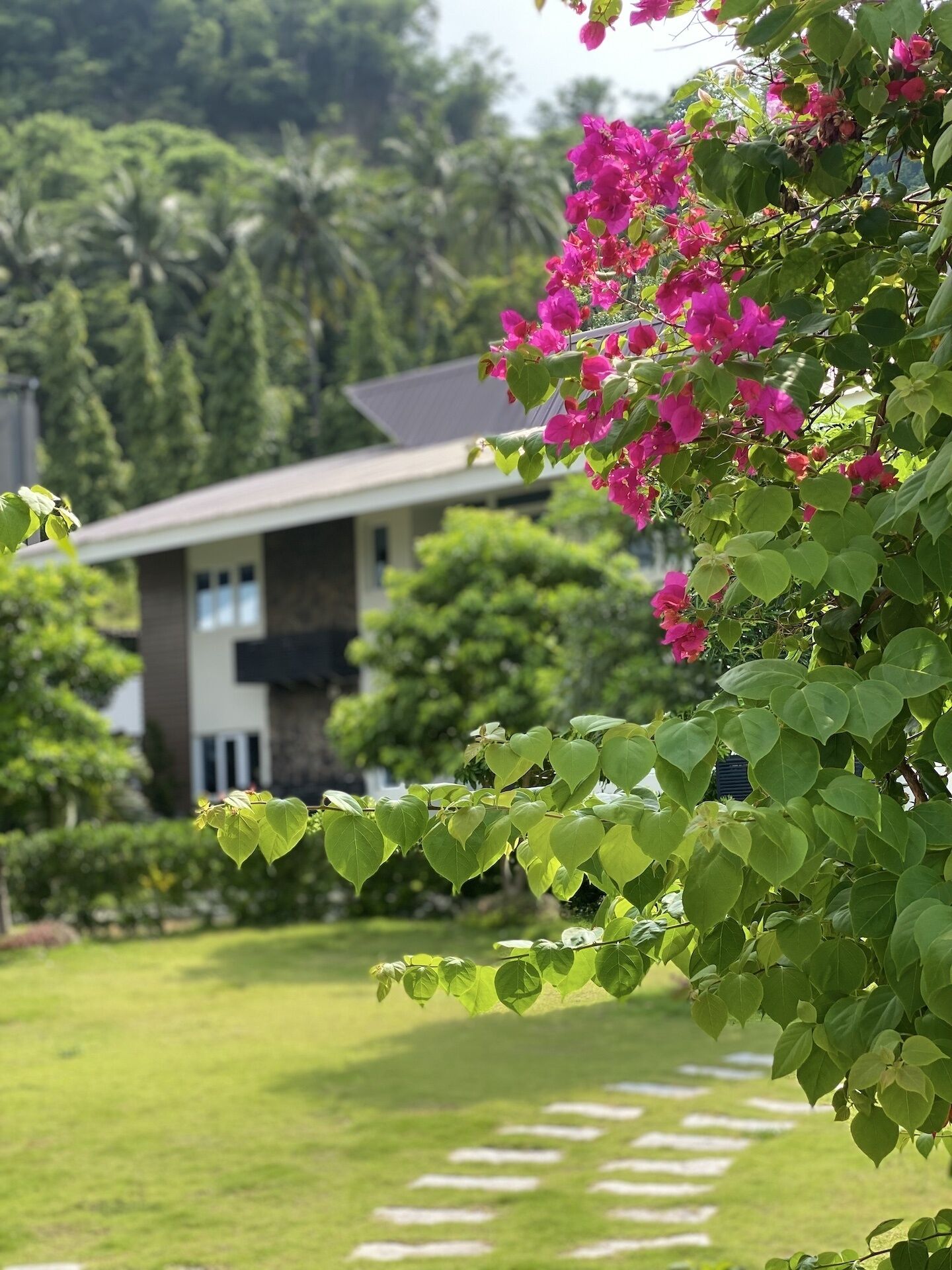 Jardin