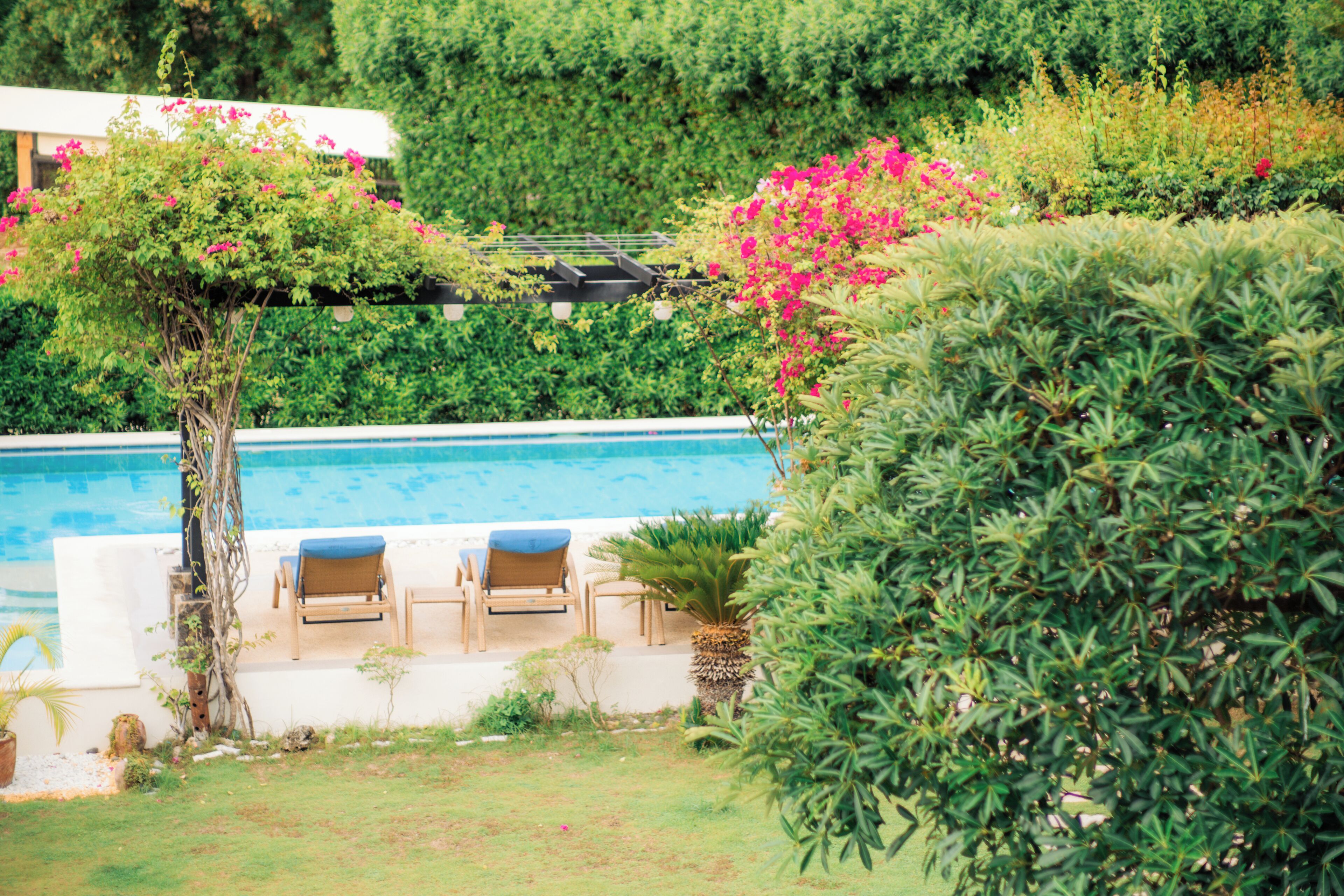 Vue sur le jardin