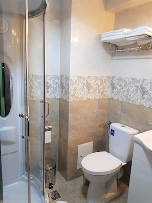 A modern bathroom with a glass-enclosed shower, a toilet, and a sink.