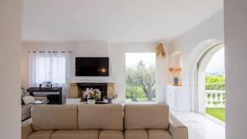 TV connectée, cheminée, livres, imprimantes