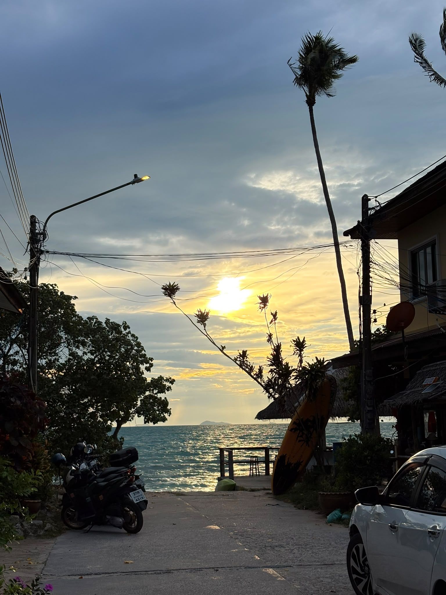 A coastal road with parked vehicles, a palm tree, and a sunset view.